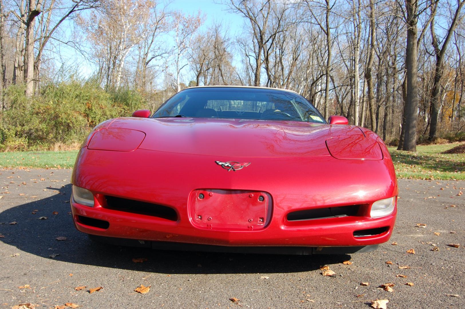 1998 Burgundy /Beige Leather Chevrolet Corvette (1G1YY32G9W5) with an 5.7 liter V8 engine, Automatic transmission, located at 6528 Lower York Road, New Hope, PA, 18938, (215) 862-9555, 40.358707, -74.977882 - Photo#13